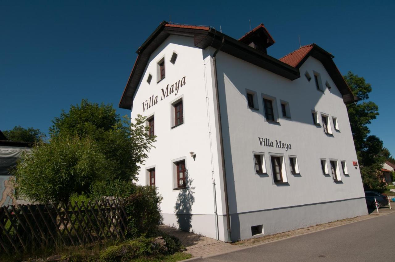 Villa Maya Horní Planá Buitenkant foto