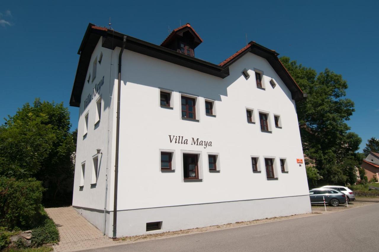 Villa Maya Horní Planá Buitenkant foto